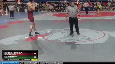 D 2 157 lbs Cons. Round 4 - Cameron Gandolfi, Archbishop Rummel vs Colin Howell, St. Thomas More