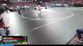 D2-285 lbs Quarterfinal - Robert Beese, Amery vs Porter Mandurano, Belmont/Platteville