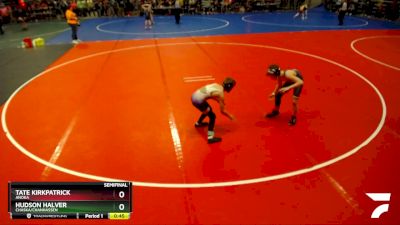 85 lbs Semifinal - Hudson Halver, Chaska/Chanhassen vs Tate Kirkpatrick, Anoka