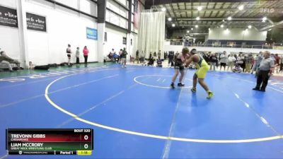 288 lbs Round 4 - Trevonn Gibbs, Chesapeake vs Liam Mccrory, Great Neck Wrestling Club