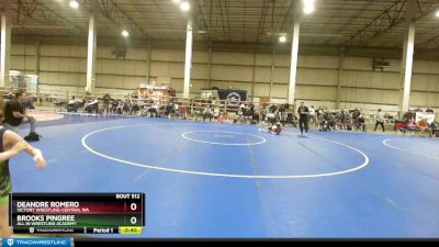 53 lbs Quarterfinal - Brooks Pingree, All In Wrestling Academy vs DeAndre Romero, Victory Wrestling-Central WA