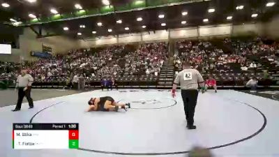 170 lbs Quarterfinal - Taimane Fiatoa, Timpview vs Malorie Stika, Springville