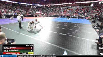 D1-113 lbs Champ. Round 1 - Wyatt Skebba, Hortonville vs Broc Ambrosius, Pulaski