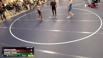 165 lbs Quarterfinal - Romeko Young, Grand Rapids Screaming Yetis Wrestling Club vs Lincoln Marr, Forest Lake Wrestling Club