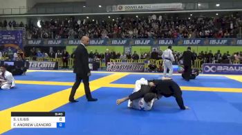 SANTERI LILIUS vs FELLIPE ANDREW LEANDRO SILVA 2020 European Jiu-Jitsu IBJJF Championship