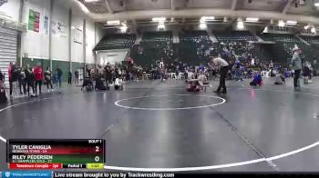 65 lbs Finals (2 Team) - Tyler Caniglia, Nebraska Titans vs Riley Pedersen, G.I. Grapplers Gold