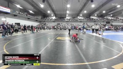 85 lbs Cons. Round 2 - Jo`Vion White, Hannibal Youth Wrestling Club-AAA vs Trandon Peterson, Ste. Genevieve Youth Wrestling Club-AAA