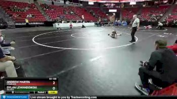 D1-120 lbs Champ. Round 1 - Dylan Lewandowski, Nicolet vs Andrew Martin, Pewaukee