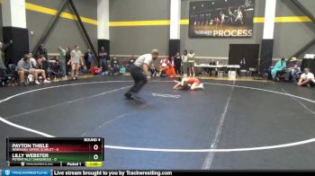 100 lbs Round 4 (6 Team) - Payton Thiele, Nebraska Vipers Scarlet vs Lilly Webster, Potentially Dangerous
