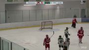 Replay: Home - 2024 St. Catharines vs Pelham | Mar 14 @ 7 PM