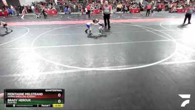 48 lbs Quarterfinal - Montagne Melstrand, Askren Wrestling Academy vs Brady Heroux, Peshtigo