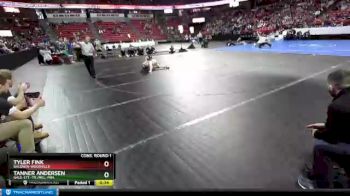D2-132 lbs Cons. Round 1 - Tyler Fink, Baldwin-Woodville vs Tanner Andersen, Gale-Ett.-Tr./Mel.-Min.