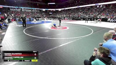 D1-157 lbs Semifinal - Ramon Gulmatico, Arrowhead vs Damiano Cappellini, Madison West