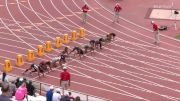 High School Girls' 100m Hurdles Class 6A, Finals 1