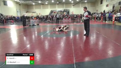 74 lbs Semifinal - Connor Bischof, Apple Valley Wrestling Club vs Colton Hamill, X-Factor Elite