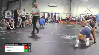 120 lbs Quarterfinals (8 Team) - Gianni Bottone, Reverence Wrestling Club vs JJ Peace, Palmetto State Wrestling Academy Gold