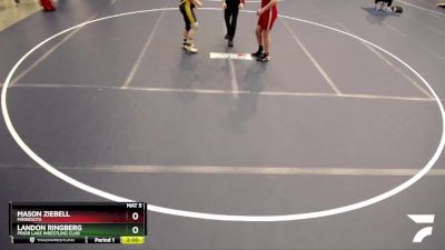 187 lbs Quarterfinal - Landon Ringberg, Prior Lake Wrestling Club vs Mason Ziebell, Minnesota