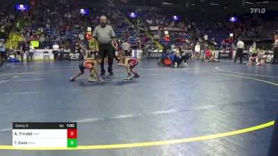 41 lbs Consy 3 - Axel Trindel, Shippensburg vs Taha Ewis, Wilkes Barre