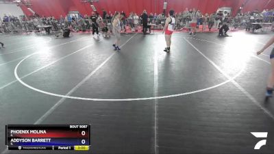 225 lbs Round 5 - Phoenix Molina, IL vs Addyson Barrett, IL