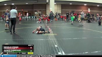38 lbs Quarterfinals (8 Team) - Patrick Clinkscales, Team Palmetto vs Nicholas Steiner, Panhandle All-Stars