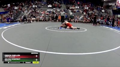 156-167 lbs Semifinal - Gibson Snellen, Lewis And Clark vs Devon Montavy, Versailles