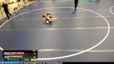 60 lbs Round 3 (6 Team) - Logan Kleinknight, Waconia vs Brody Verch-Brown, Farmington