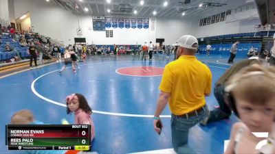 108 lbs Round 5 - Rees Palo, Peak Wrestling vs Norman Evans, Cowboy Kids WC