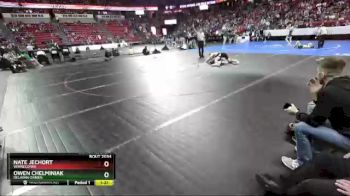 D2-160 lbs Champ. Round 1 - Nate Jechort, Winneconne vs Owen Chelminiak, Delavan-Darien