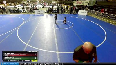 45 lbs Quarterfinal - Noah Choi, RBWC (Rancho Bernardo Wrestling Club) vs Ray Lopez, Total Kaos Wrestling Club