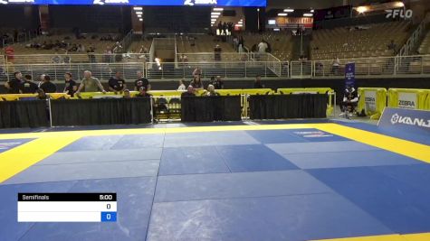 MICHAL VEBR vs ERICH RICHARD NEIMAN 2024 Pan Jiu Jitsu IBJJF Championship
