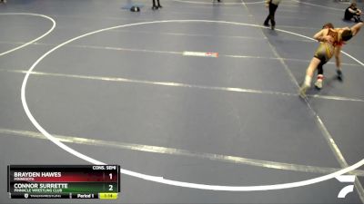 106 lbs Cons. Semi - Connor Surrette, Pinnacle Wrestling Club vs Brayden Hawes, Minnesota