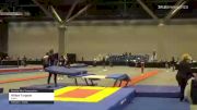 Willow Turgeon - Double Mini Trampoline, Agility - 2021 USA Gymnastics Championships