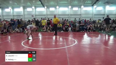 90 lbs Pools - Antonio Liscotti, Phoenix W.C. vs Gunner Helwig, BAM Training Center