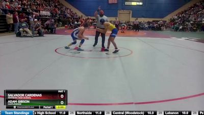 1 - 113 lbs Quarterfinal - Adam Gibson, Castlewood vs Salvador Cardenas, Mathews High School