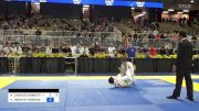 RICARDO CANDIDO GOMES FILHO vs HAWANN HENNYE MOREIRA DOS SANTOS 2024 Pan Jiu Jitsu IBJJF Championship