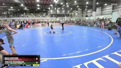 65 lbs Round 4 (6 Team) - Tristan Rhodeback, PIT BULL WRESTLING ACADEMY vs Beau Switzer, SHENANDOAH VALLEY WC