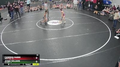 55 lbs Semis (4 Team) - Ayden Williams, KC Elite vs Cameron Parris, Ninety Six