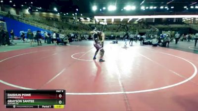 165 lbs Quarterfinal - Daishun Powe, Gardendale Hs vs Grayson Santee, Buford HS