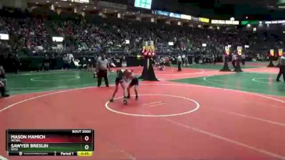 80 lbs Cons. Semi - Sawyer Breslin, GFF2 vs Mason Mamich, WCWA