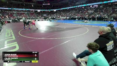 D3-157 lbs Quarterfinal - Jaxon Busse, Iowa-Grant/Highland vs Caleb Mackey, Pardeeville