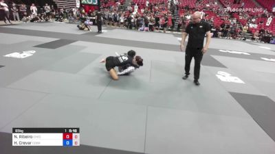 Nathalie Ribeiro vs Helena Crevar 2022 ADCC Las Vegas Open