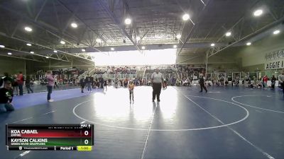 46 lbs Quarterfinal - Kayson Calkins, Green River Grapplers vs Koa Cabael, Empire