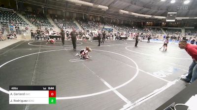 46 lbs Consi Of 8 #2 - Aidan Garland, Berryhill Wrestling Club vs Jett Rodriguez, Borger Youth Wrestling