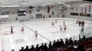 Replay: Home - 2024 Blazers U18 AAA vs Hounds U18 AAA | Feb 17 @ 6 PM
