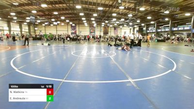 100 lbs Quarterfinal - Noah Watkins, TN vs Ethan Andreula, NY