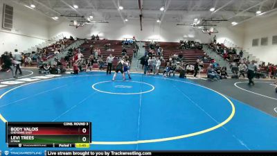 170 lbs Cons. Round 3 - Levi Trees, Lyman vs Body Valois, Cheyenne East