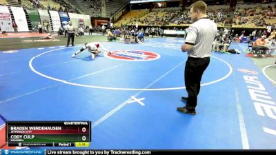 138 Class 3 lbs Quarterfinal - Braden Werdehausen, Jefferson City vs Cody Culp, Hannibal