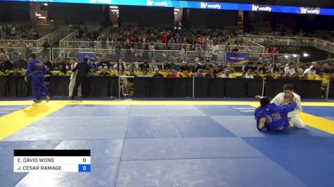 ETHAN DAVID WONG vs JULIO CESAR RAMAGE 2024 Pan Jiu Jitsu IBJJF Championship