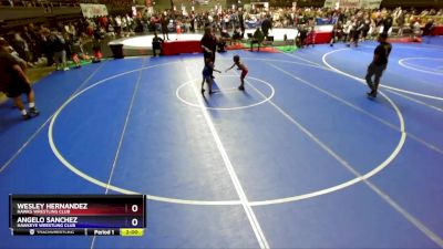 49 lbs Quarterfinal - Wesley Hernandez, Hawks Wrestling Club vs Angelo Sanchez, Hawkeye Wrestling Club