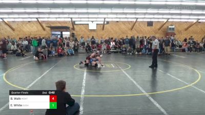 132 lbs Quarterfinal - Briella Walk, Montgomery vs Emma White, Dushore